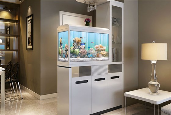 左右手魚(yú)缸隔斷 左右手魚(yú)缸隔斷