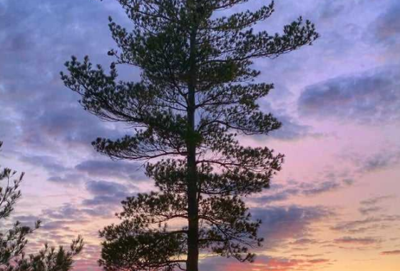 重慶智能家居加盟：相比傳統(tǒng)家居，智能家居的優(yōu)勢(shì)是什么？