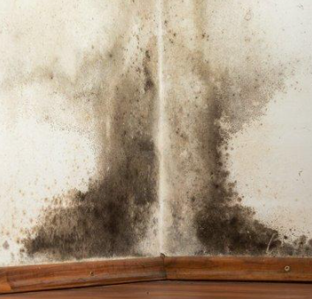 江南（蘇州）梅雨季節(jié)，家具霉斑處理小技巧，建議收藏哦！