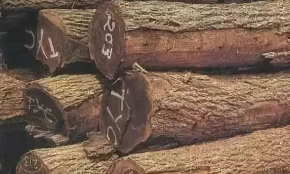 人造環(huán)保板材：實(shí)木家具的主流材種有哪些？