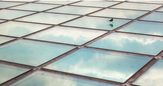 鋁扣板吊頂好還是玻璃吊頂好？