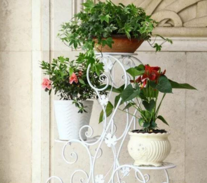 【室內(nèi)花架子】家用花架材質(zhì)都分為哪些？花架挑選技巧分享推薦