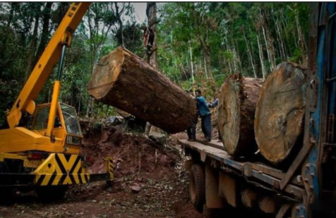 【新中式家具定制】中式家具選購、陳設(shè)、保養(yǎng)全攻略！