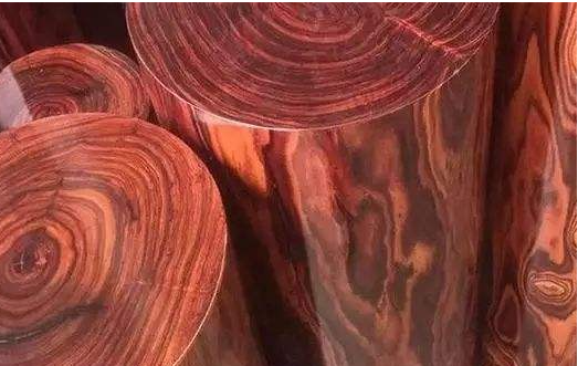 【黃花梨木家具】如何辨別海南黃花梨和越南黃花梨家具？